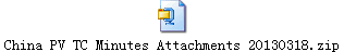 China PV TC Minutes Attachments 20130318.zip